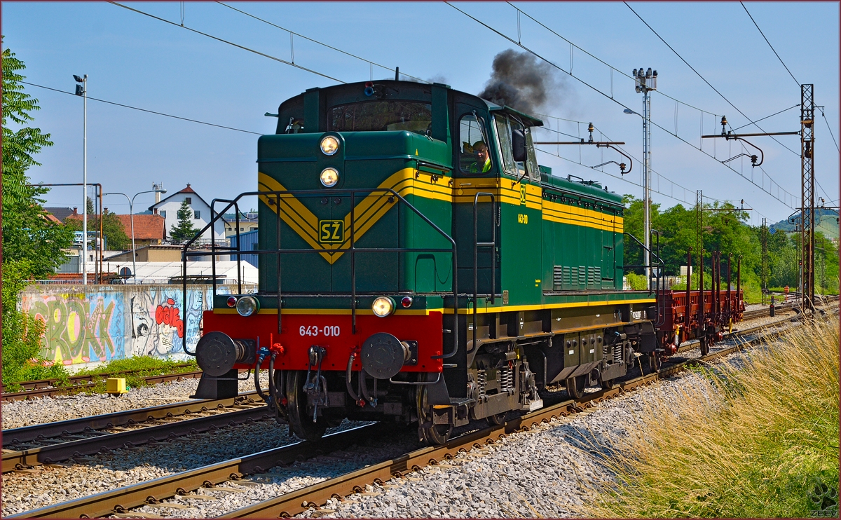 SŽ 643-010 zieht Güterwagon durch Maribor-Tabor Richtung Tezno Verschiebebahnhof. /13.6.2014