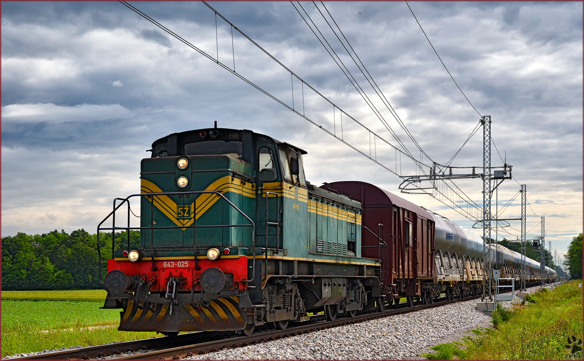 SŽ 643-025 zieht Güterzug durch Cirkovce-Polje Richtung Pragersko. /2.6.2016