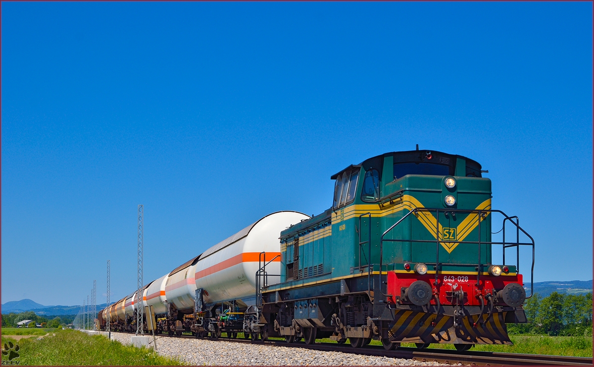 SŽ 643-028 zieht Güterzug durch Šikole Richtung Kidričevo. /20.5.2014