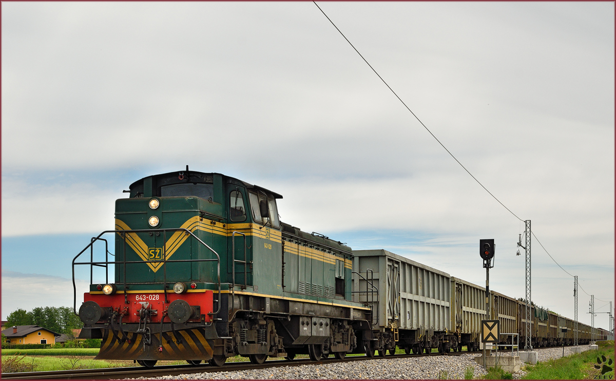 SŽ 643-028 zieht Güterzug durch Šikole Richtung Pragersko. /4.5.2015