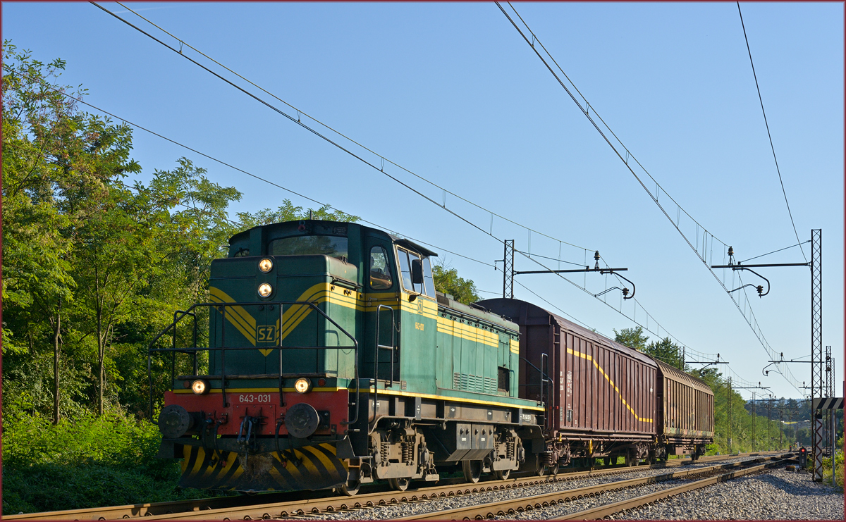 SŽ 643-031 zieht zwei Güterwagons durch Maribor-Tabor Richtung Maribor HBF. /5.9.2019