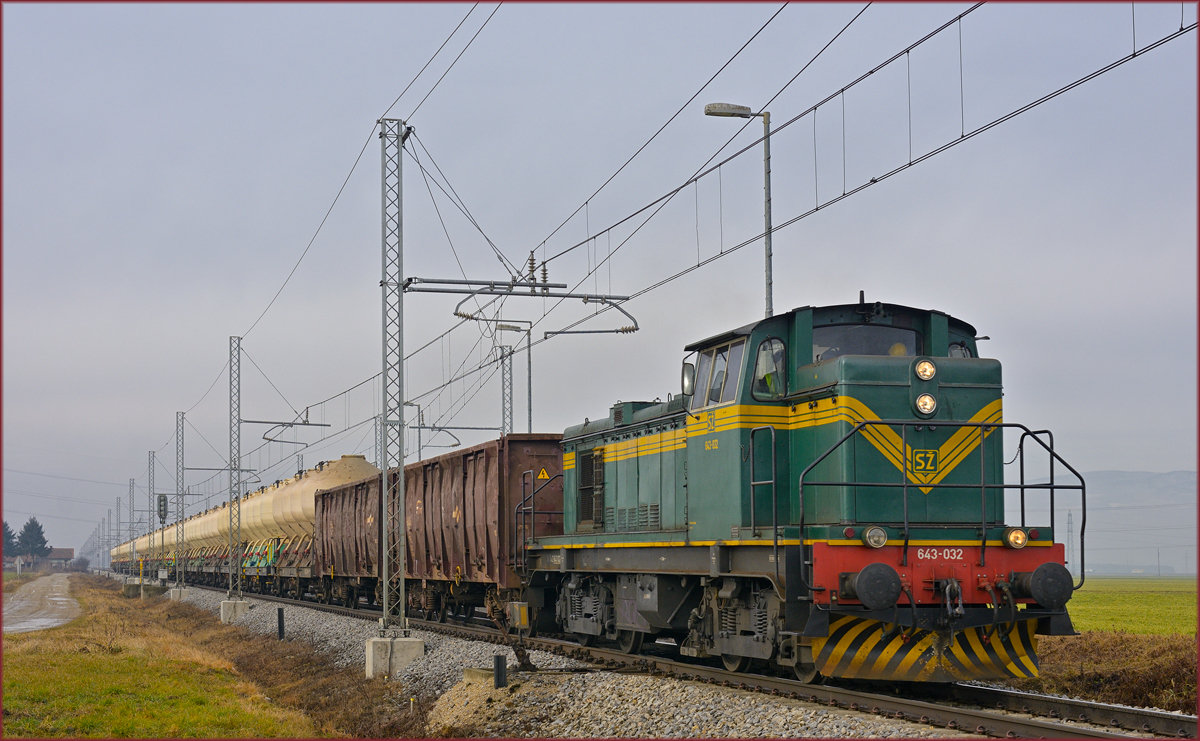 SŽ 643-032 zieht Güterzug durch Cirkovce-Polje Richtung Ptuj- /29.1.2019