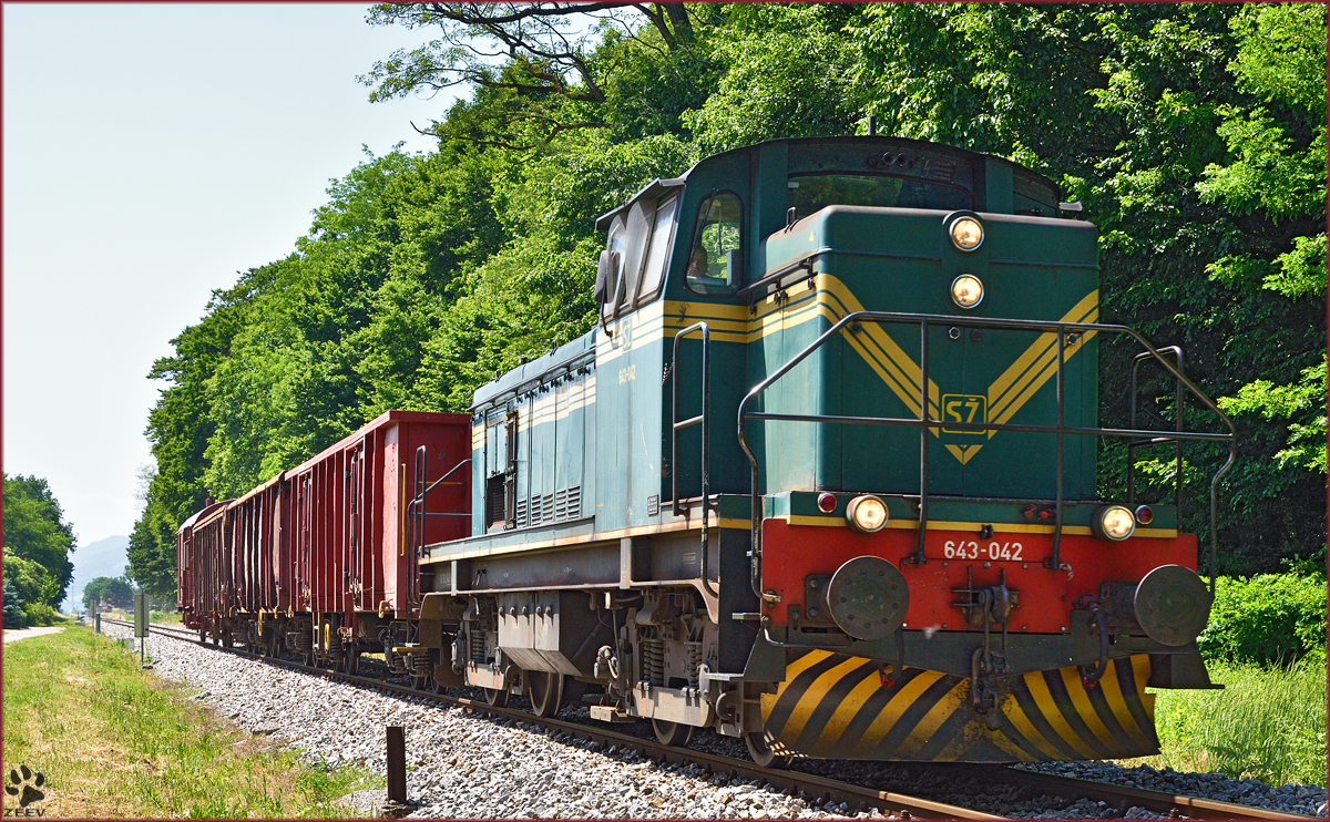 SŽ 643-042 zieht Güterzug durch Studenci Richtung Tezno VBH. /5.6.2015