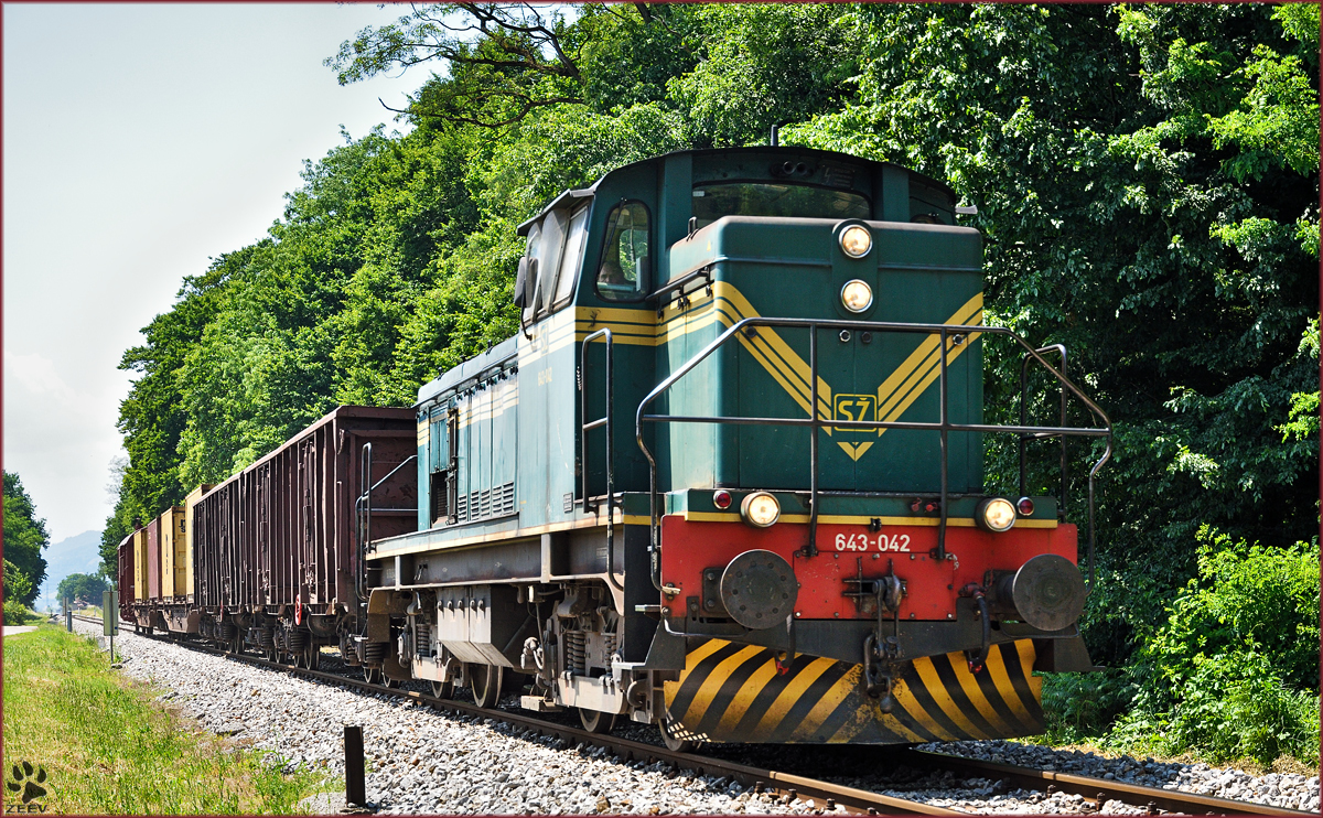 SŽ 643-042 zieht Güterzug durch Maribor-Studenci Richtung Tezno VBF. /8.6.2015