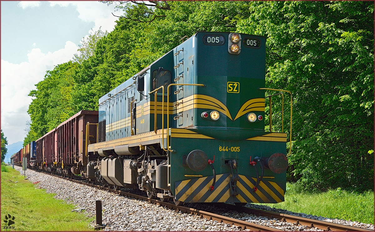 SŽ 644-005 zieht Güterzug durch Maribor-Studenci Richtung Tezno Verschiebebahnhof. /30.4.2014