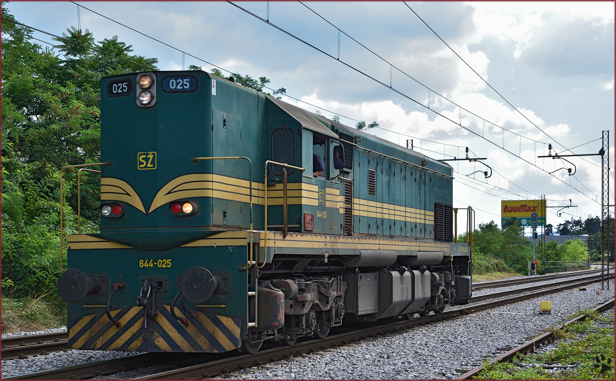 SŽ 644-025 fährt als Lokzug durch Maribor-Tabor Richtung Studenci. /31.7.2015
