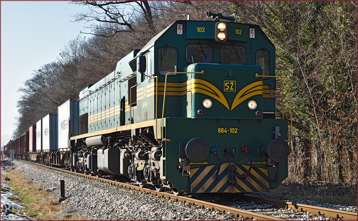 SŽ 664-102 zieht Güterzug durch Maribor-Studenci Richtung Tezno VBF. /13.2.2015