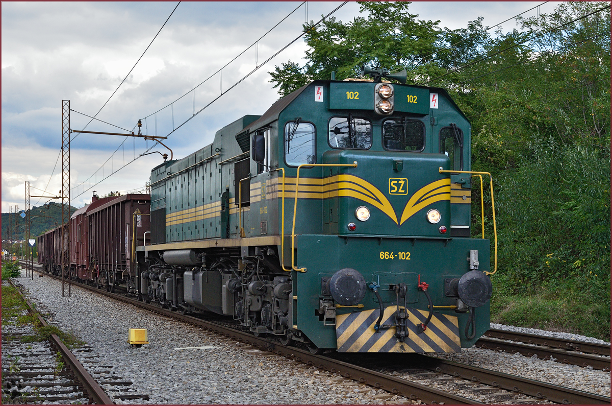 SŽ 664-102 zieht Güterzug durch Maribor-Tabor Richtung Tezno VBF. /9.9.2015