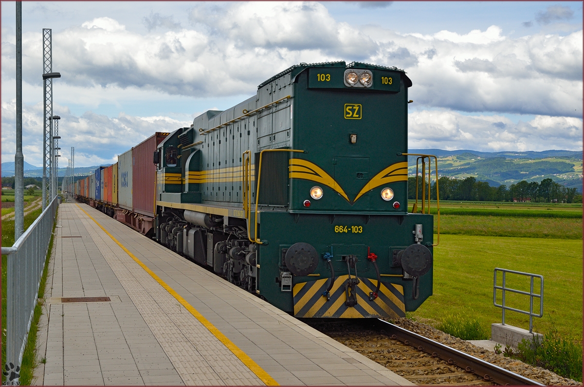 SŽ 664-103 zieht Containerzug durch Šikole Richtung Hodoš. /14.5.2014