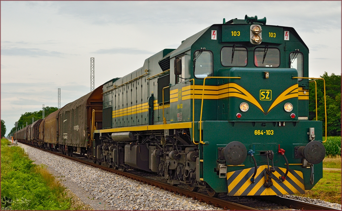 SŽ 664-103 zieht Güterzug durch Cirkovce-Polje Richtung Koper Hafen. /11.7.2014