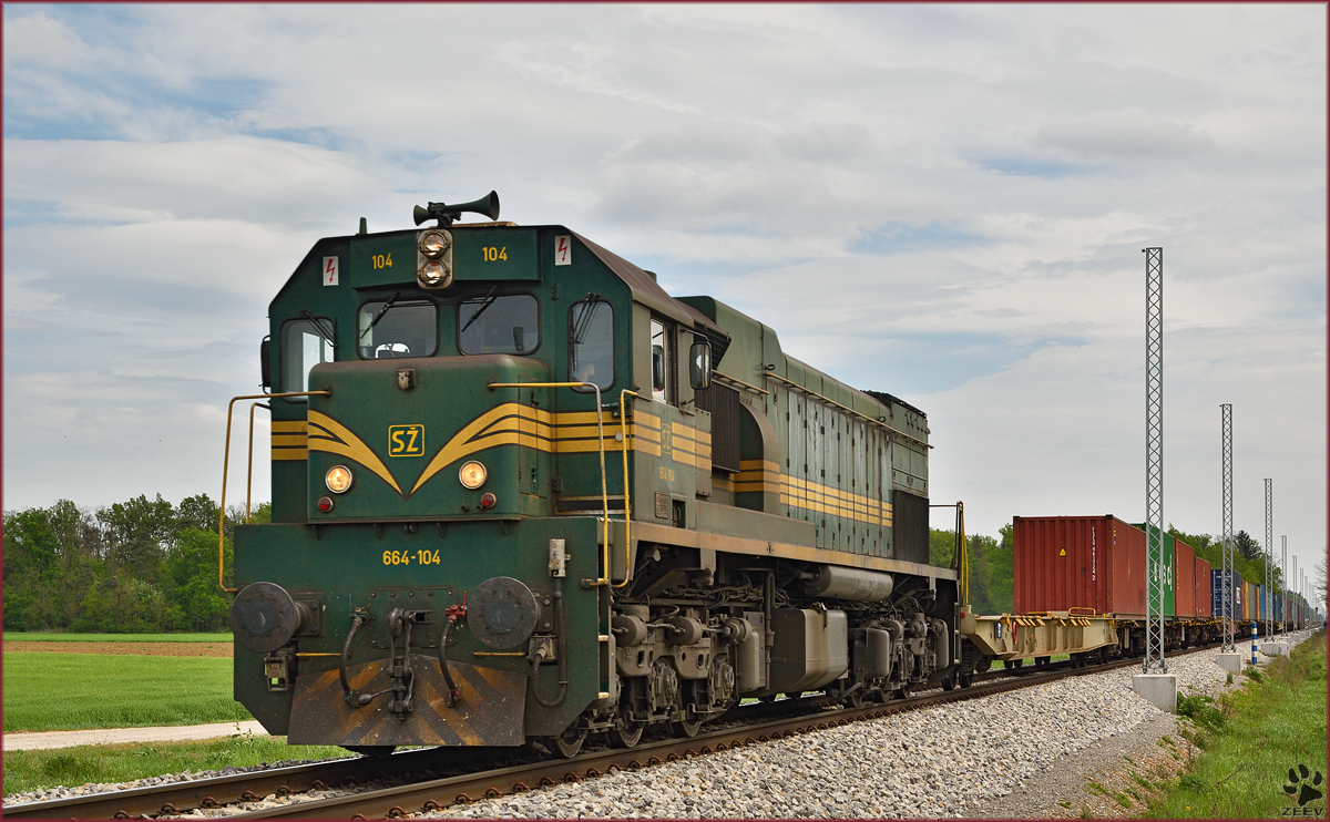 SŽ 664-104 zieht Containerzug durch Cirkovce-Polje Richtung Koper Hafen. /27.4.2015