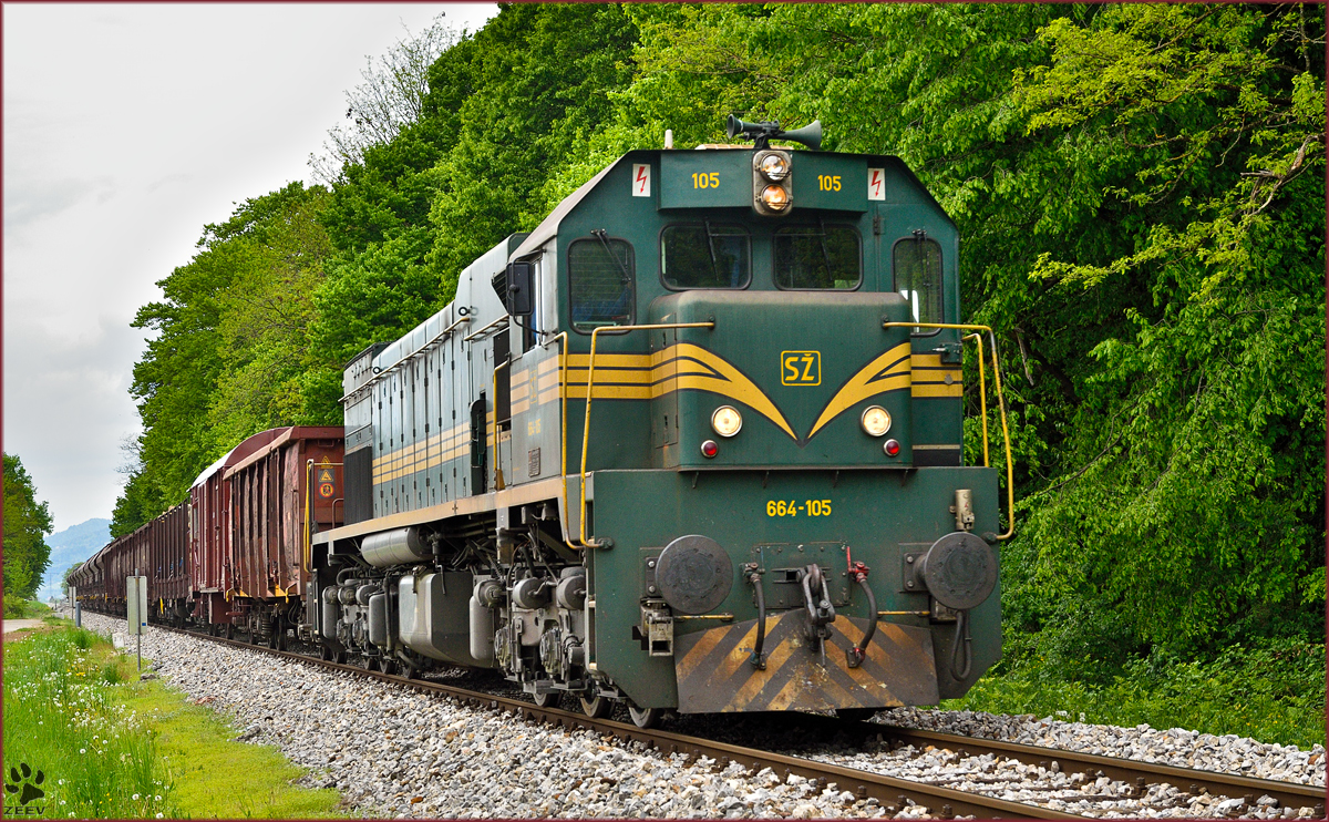 SŽ 664-105 zieht Güterzug durch Maribor-Studenci Richtung Tezno VBF. /30.4.2015