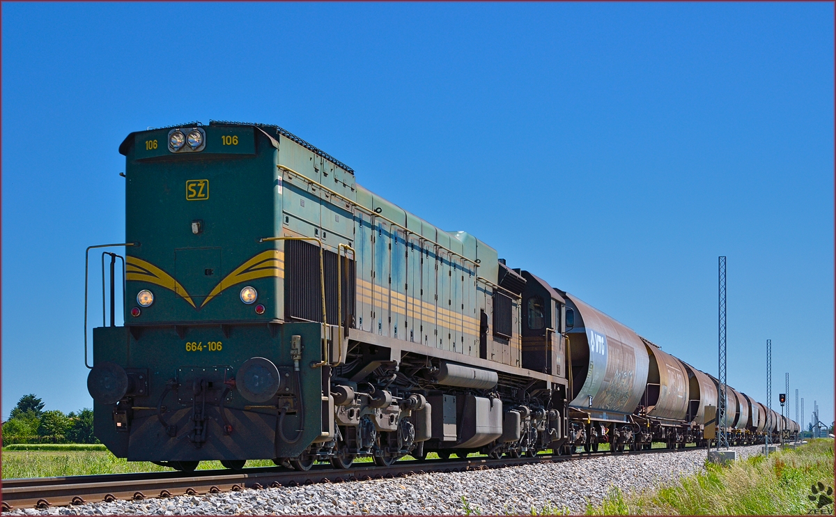 SŽ 664-106 zieht Güterzug durch Šikole Richtung Koper Hafen. /20.5.2014