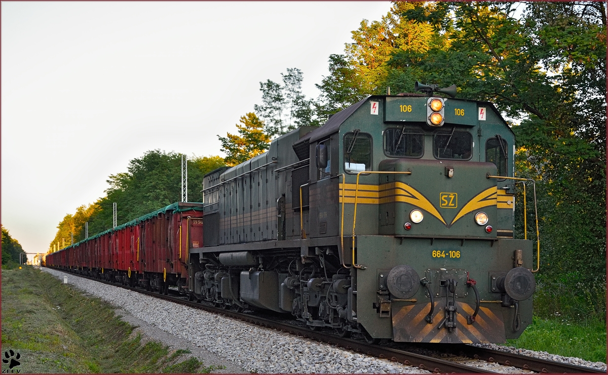 SŽ 664-106 zieht Güterzug durch Kidričevo Richtung Koper Hafen. /18.8.2014