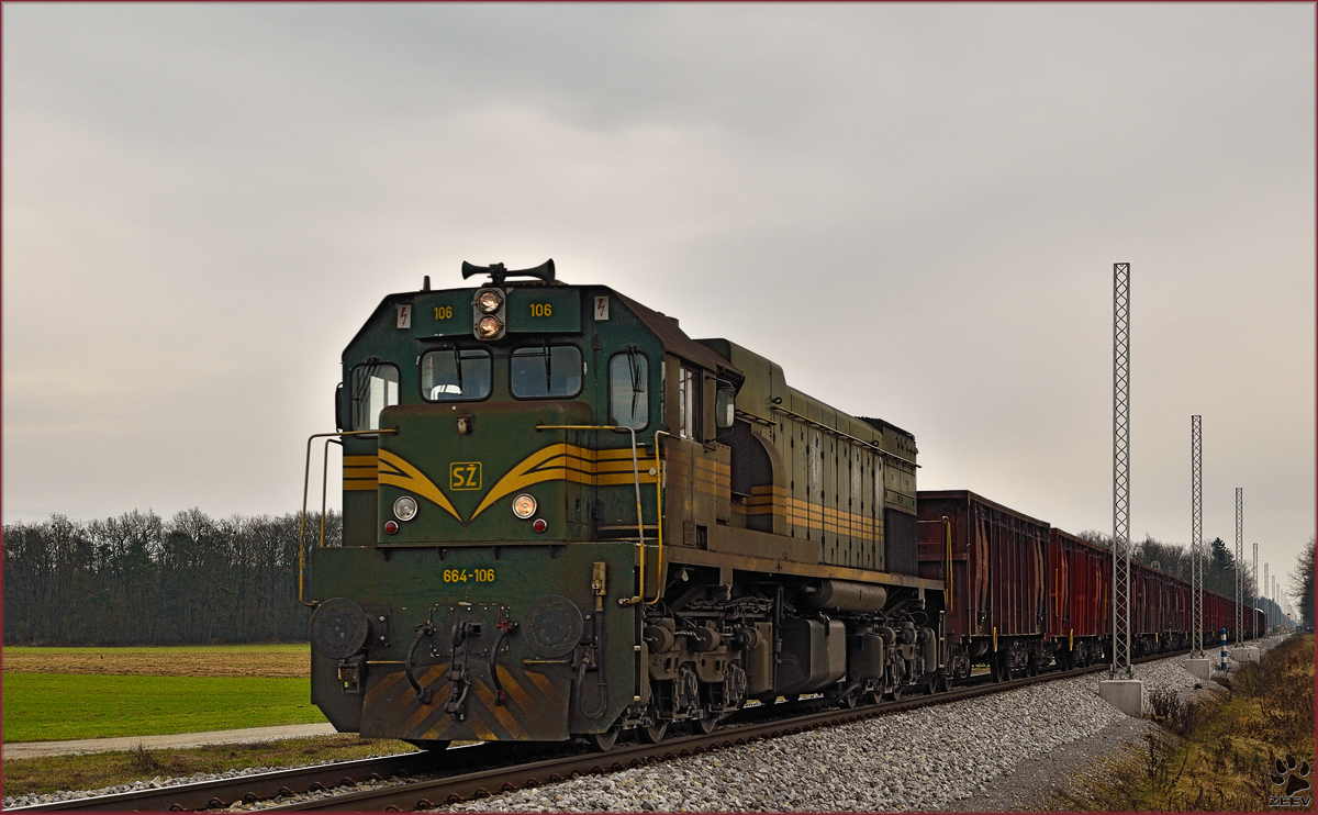 SŽ 664-106 zieht Güterzug durch Cirkovce-Polje Richtung Pragersko. /29.1.2015