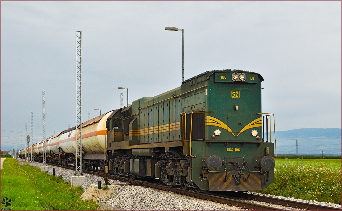 SŽ 664-106 zieht Kesselzug durch Cirkovce-Polje Richtung Hodoš. /5.8.2014