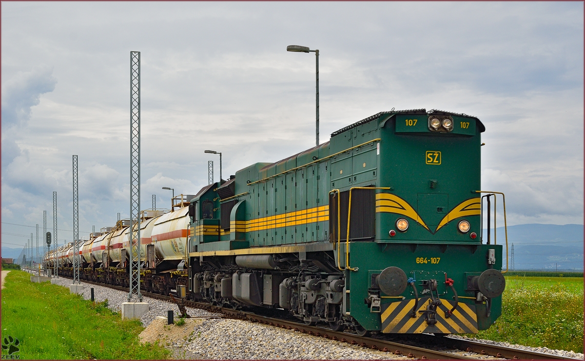 SŽ 664-107 zieht Kesselzug durch Cirkovce-Polje Richtung Hodoš. /5.8.2014