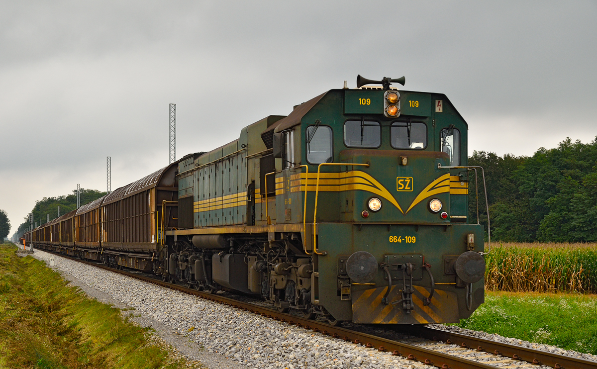 SŽ 664-109 zieht Güterzug durch Cirkovce-Polje Richtung Koper Hafen. /17.9.2014