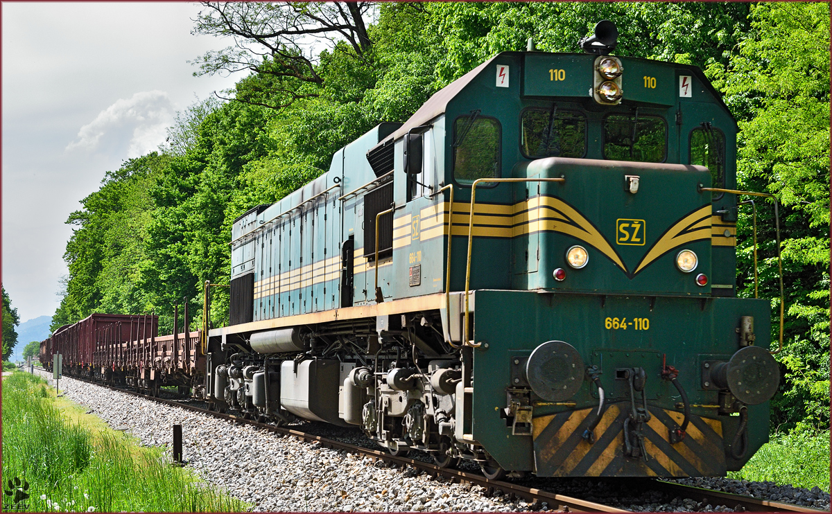 SŽ 664-110 zieht Güterzug durch Maribor-Studenci Richtung Tezno VBF. /6.5.2015