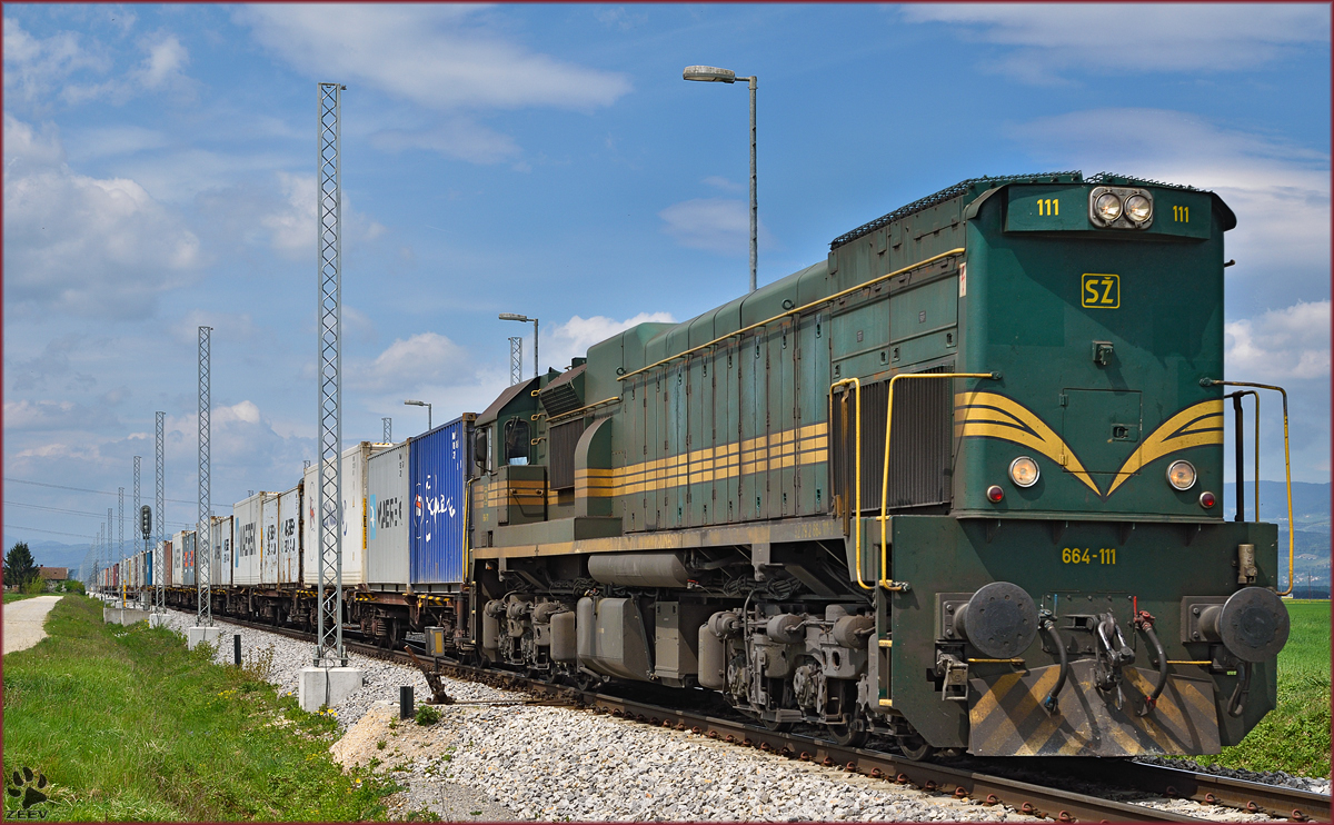 SŽ 664-111 zieht Containerzug durch Cirkovce-Polje Richtung Hodoš. /27.4.2015