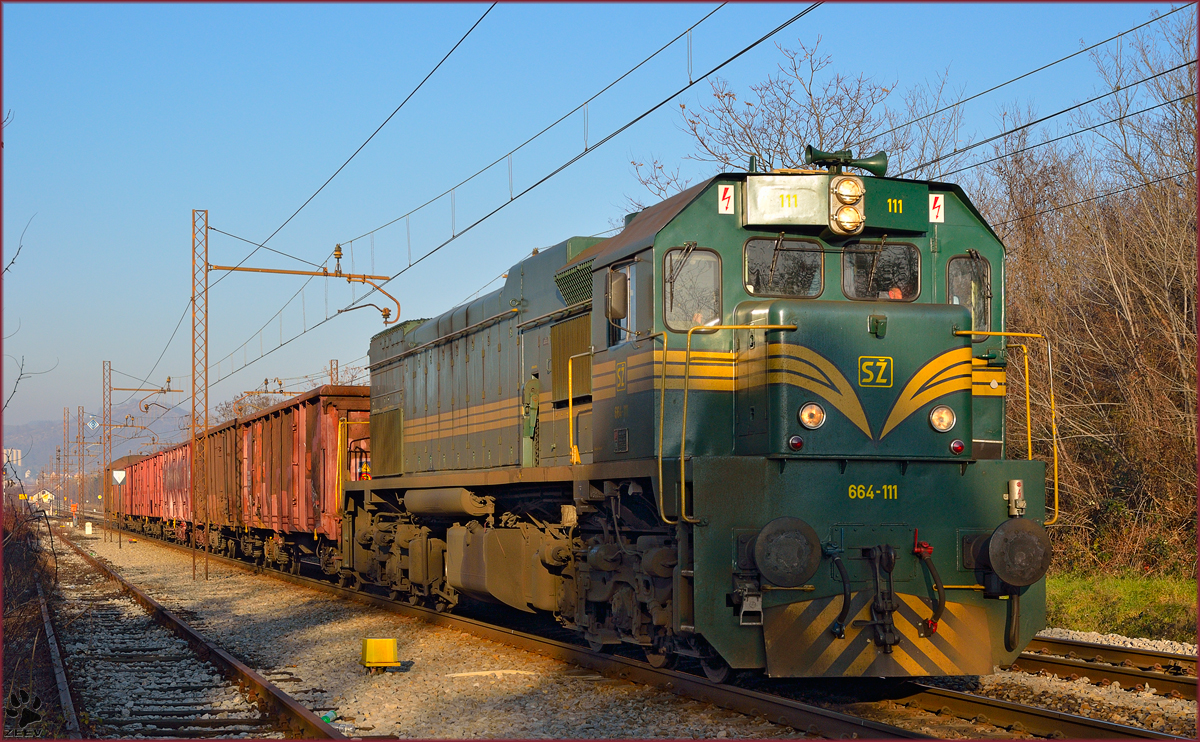 SŽ 664-111 zieht Güterzug durch Maribor-Tabor Richtung Tezno Verschiebebahnhof. /16.12.2013
