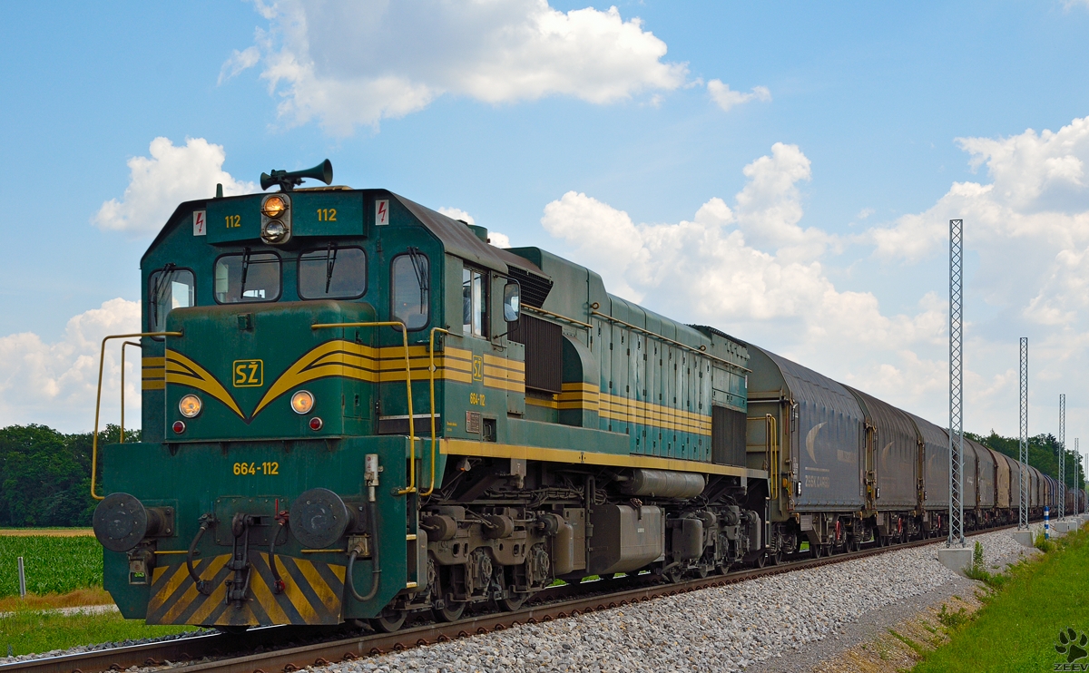 SŽ 664-112 zieht Stahlzug durch Cirkovce-Polje Richtung Koper Hafen. /19.6.2014