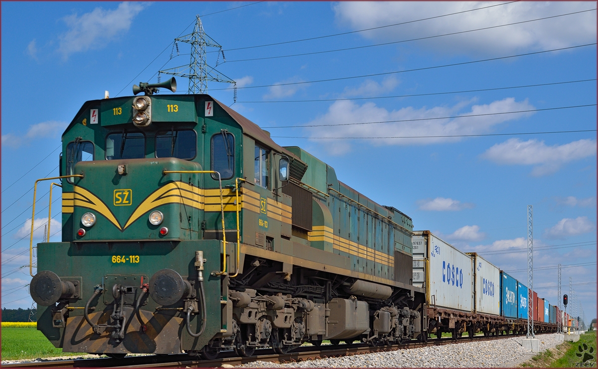 SŽ 664-113 zieht Containerzug durch Cirkovce Richtung Koper Hafen. /11.4.2014