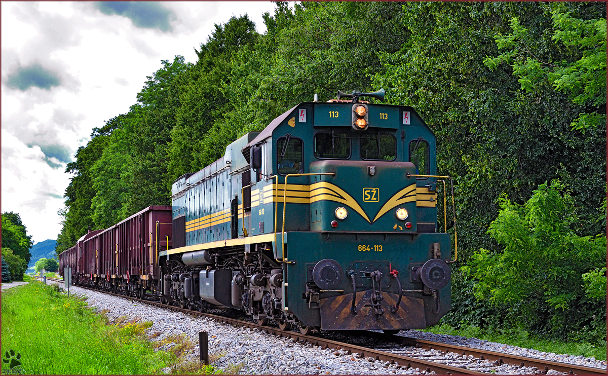 SŽ 664-113 zieht Güterzug durch Maribor-Studenci Richtung Tezno VBF. /20.6.2016