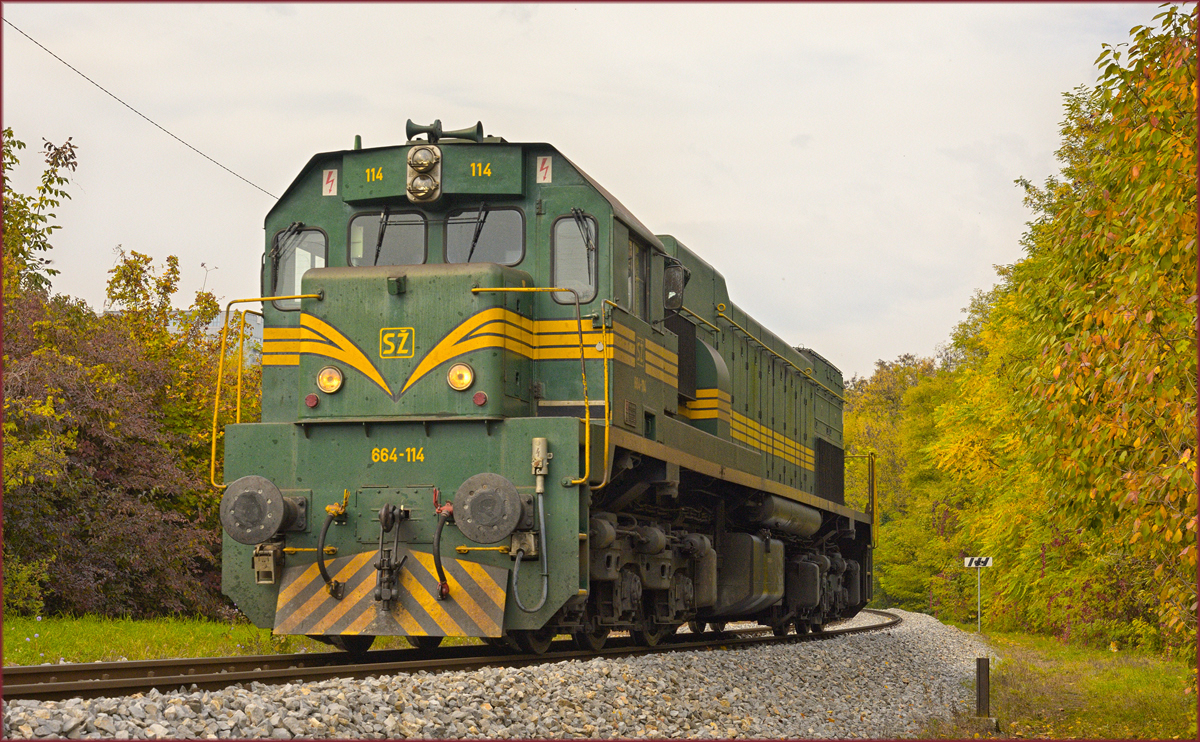 SŽ 664-114 fährt als Lokzug durch Maribor-Tabor Richtung Studenci BF.. /15.10.2018
