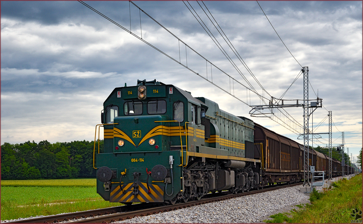 SŽ 664-114 zieht Güterzug durch Cirkovce-Polje Richtung Pragersko. Diese schweren Dieselok werden sich bald von der Strecke Pragersko-Hodoš verabschieden. Am 10.6.2016 wird die neu elektrifizierte Strecke zum Verkehr übergeben. /2.6.2016