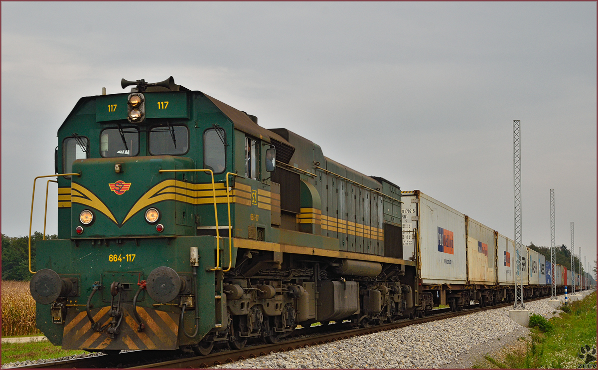 SŽ 664-117 zieht Containerzug durch Cirkovce-Polje Richtung Koper Hafen. /2.10.2014