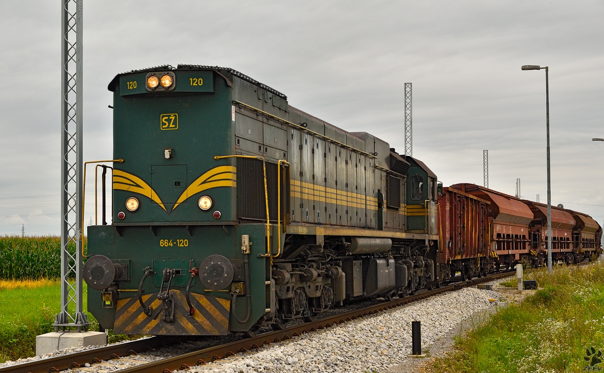SŽ 664-120 zieht Güterzug durch Cirkovce-Polje Richtung Ormož. /22.8.2014