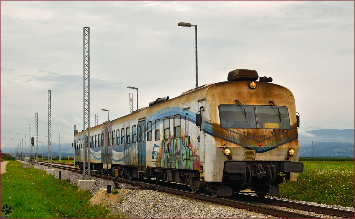 SŽ 813-130 fährt durch Cirkovce-Polje Richtung Ormož. /5.8.2014
