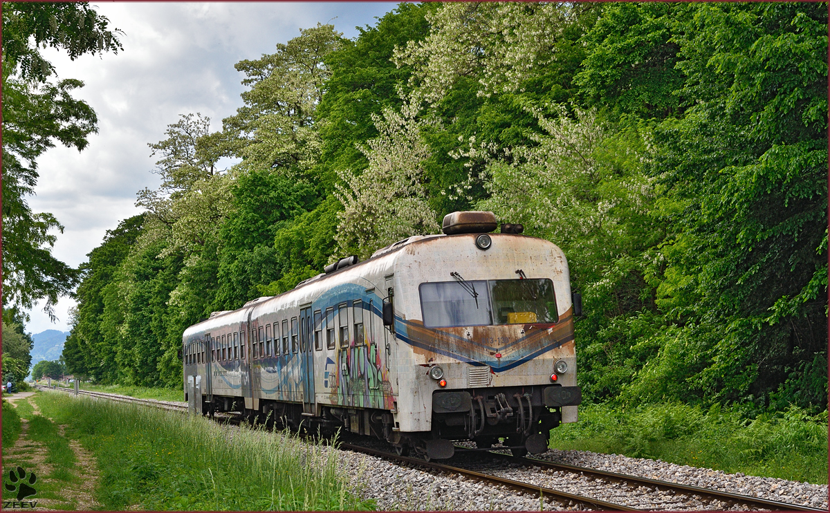 SŽ 813-130 fährt durch Maribor-Studenci Richtung Dravograd. /14.5.2015