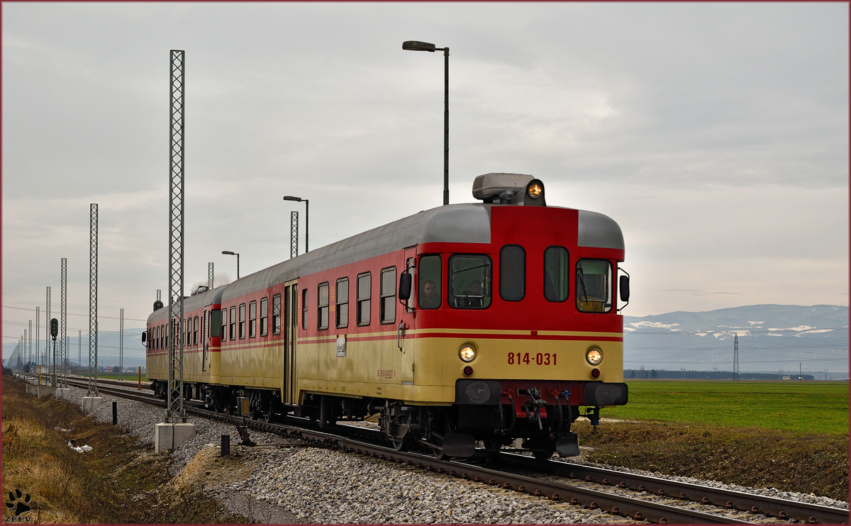 SŽ 814-031 fährt durch Cirkovce-Polje Richtung Ormož. /29.1.2015