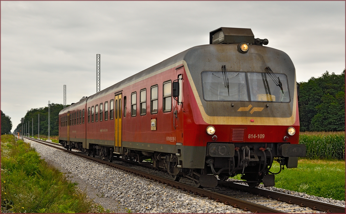SŽ 814-109 fährt durch Cirkovce-Polje Richtung Maribor. /22.8.2014