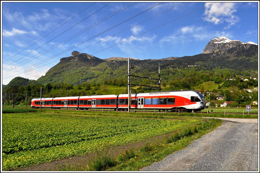 S4 23435 bei Weite vot Gonzen und Gauschla. (08.05.2014)