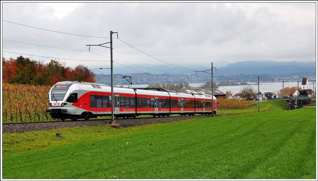 S40 8751 im Leutschen oberhalb von Freienbach SOB. Im Hintergrund sind die Inseln Lützelau und Ufenau im Zürichsee zu sehen. (13.11.2014)