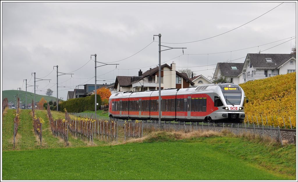 S40 8751 im Leutschen oberhalb von Freienbach SOB. (13.11.2014)