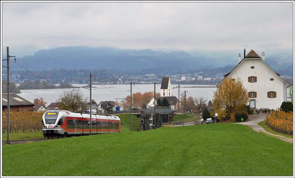 S40 8751 mit 526 058-3 im 50 o/oo Gefälle beim Leutschen oberhalb von Freienbach SOB. Auf der andern Seeseite befindet sich das Ziel des Zuges, Rapperswil. (13.11.2014)