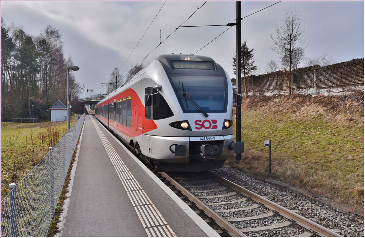 S40 Einsiedeln - Rapperswil mit 526 044-3 in Hurden. (13.02.2017)