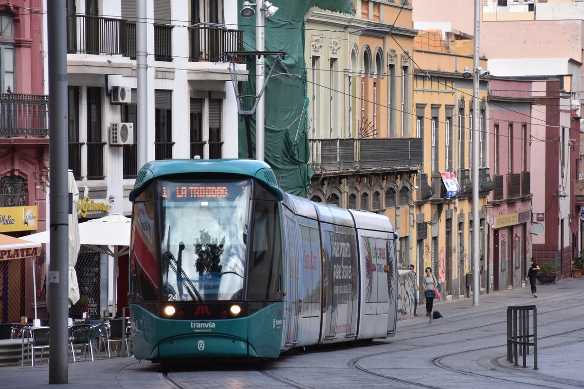 SANTA CRUZ DE TENERIFE (Kanaren/Provinz Santa Cruz de Tenerife), 29.03.2016, ein Citadis von Alstom, betrieben als Wagen 24 der Tranvía Tenerife, nach La Trinidad in der Calle de Imeldo Seris