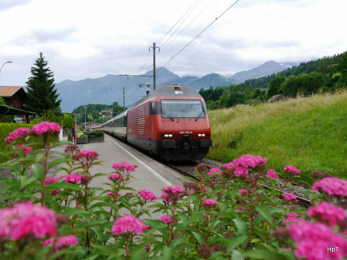 SBB - 460 078- mit IC bei der durchfahrt in Faulensee am 21.06.2015