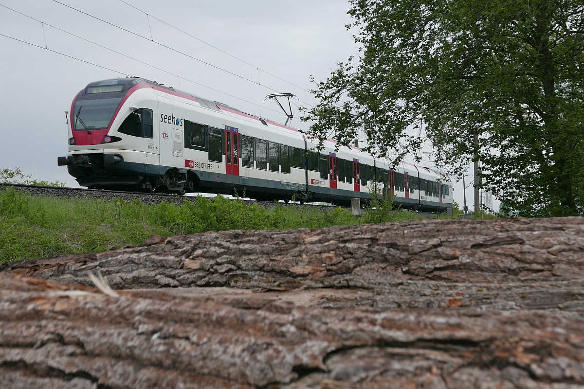 SBB 87681, Engen - Konstanz, fährt am 06.05.2017 bei Welschingen an dem auf Holzstämmen stehenden Fotograf vorbei.