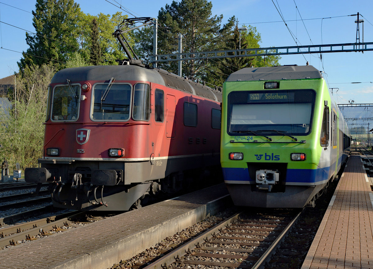SBB: Am Samstag den 7. Mai 2016 brachte die Re 6/6 11625  OENSINGEN  einen langen Güterzug nach Gerlafingen. Vor der Rückfahrt als Lokzug kam es noch kurz zu einem Fotoshooting mit der SCHÖNEN SOLOTHURNERIN bei herrlichem Frühlingswetter.
Foto: Walter Ruetsch 