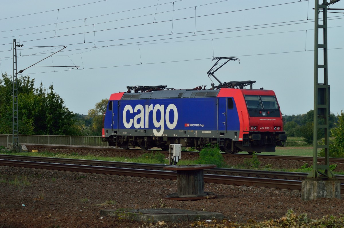 SBB Cargo 482 036-1 mach hier gerade die Biege, gleich wird sie von Groß-Gerau Dornberg nach Klein-Gerau hinunter fahren. 30.8.2015