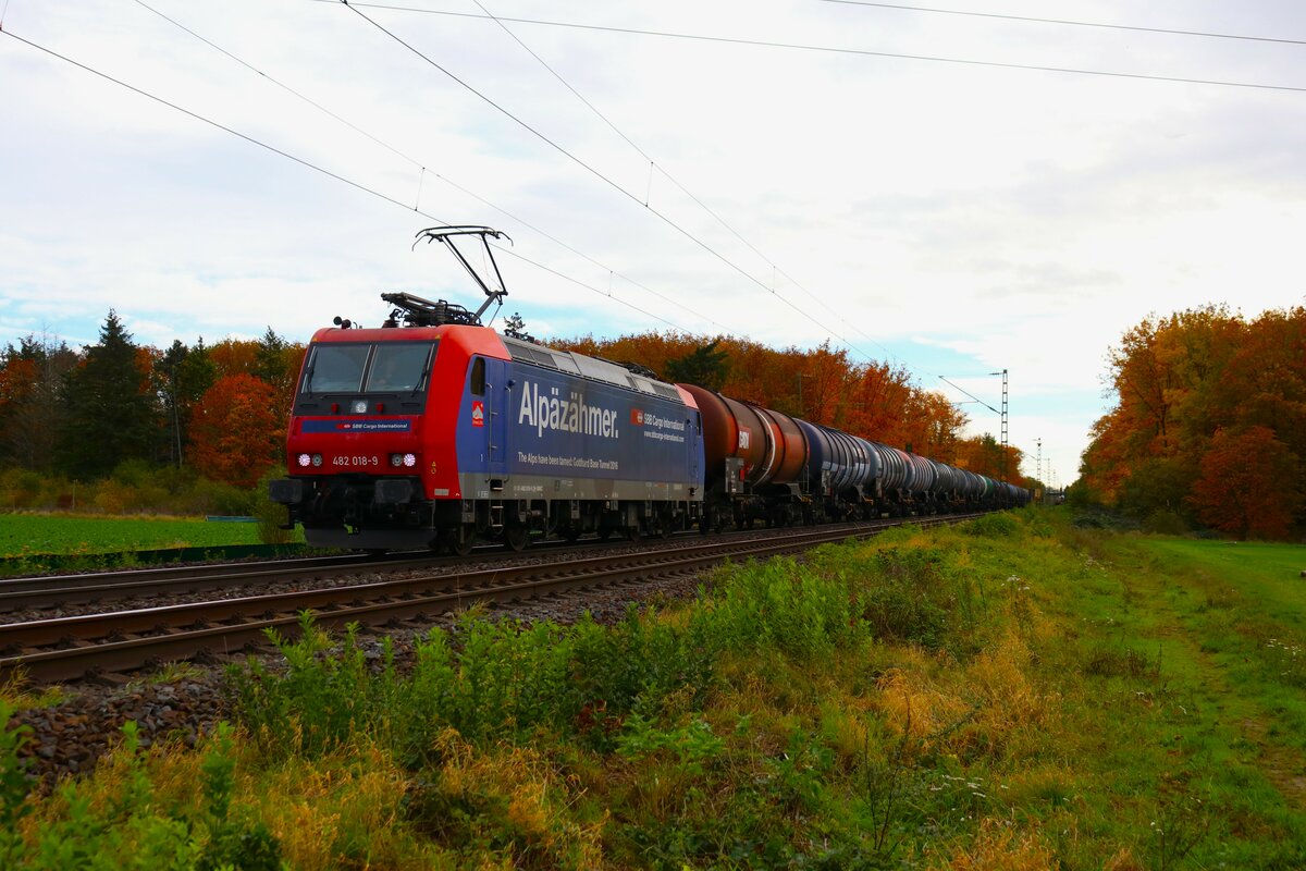 SBB Cargo International Bombardier Traxx 482 018-9 mit Kesselwagen in Bischofsheim am 04.11.23