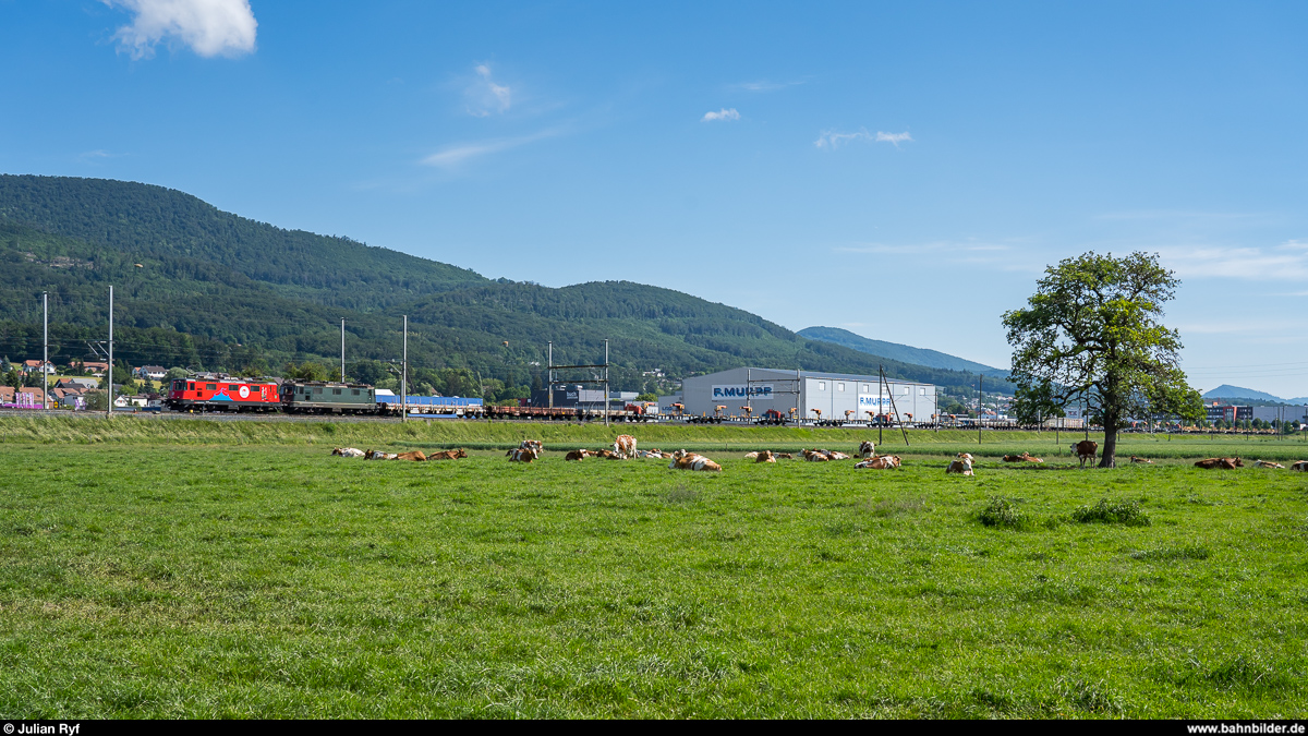 SBB Cargo Re 4/4 II 11294 und 11330 mit Zug RBL - Hägendorf am 30. Mai 2020 bei Hägendorf.