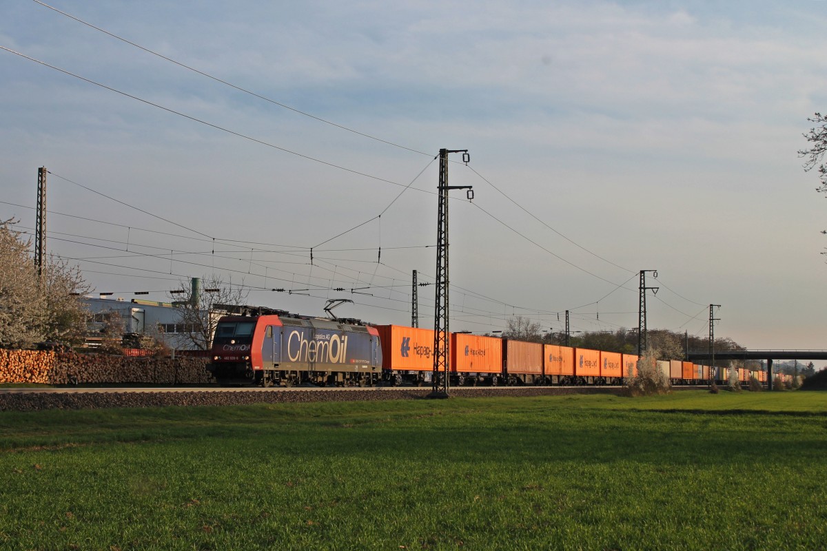 SBB Cargo Re 482 028-8  ChemOil Logistics AG  am späeten Nachmittag des 29.03.2014 mit einem langen Containerzug bei der Firma Jacoby in Auggen auf ihrem Weg nach Norden.