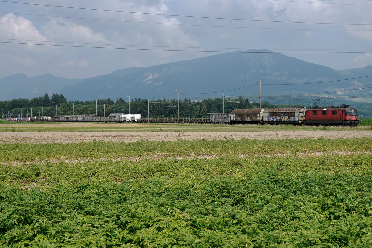 SBB CARGO.
Nur eine Re 4/4 II im Einsatz für die Führung von einem derart langen Güterzug.
Entstanden ist diese Aufnahme auf der Jurasüdfuss-Linie bei Deitingen am 23. Juli 2018.
Foto: Walter Ruetsch